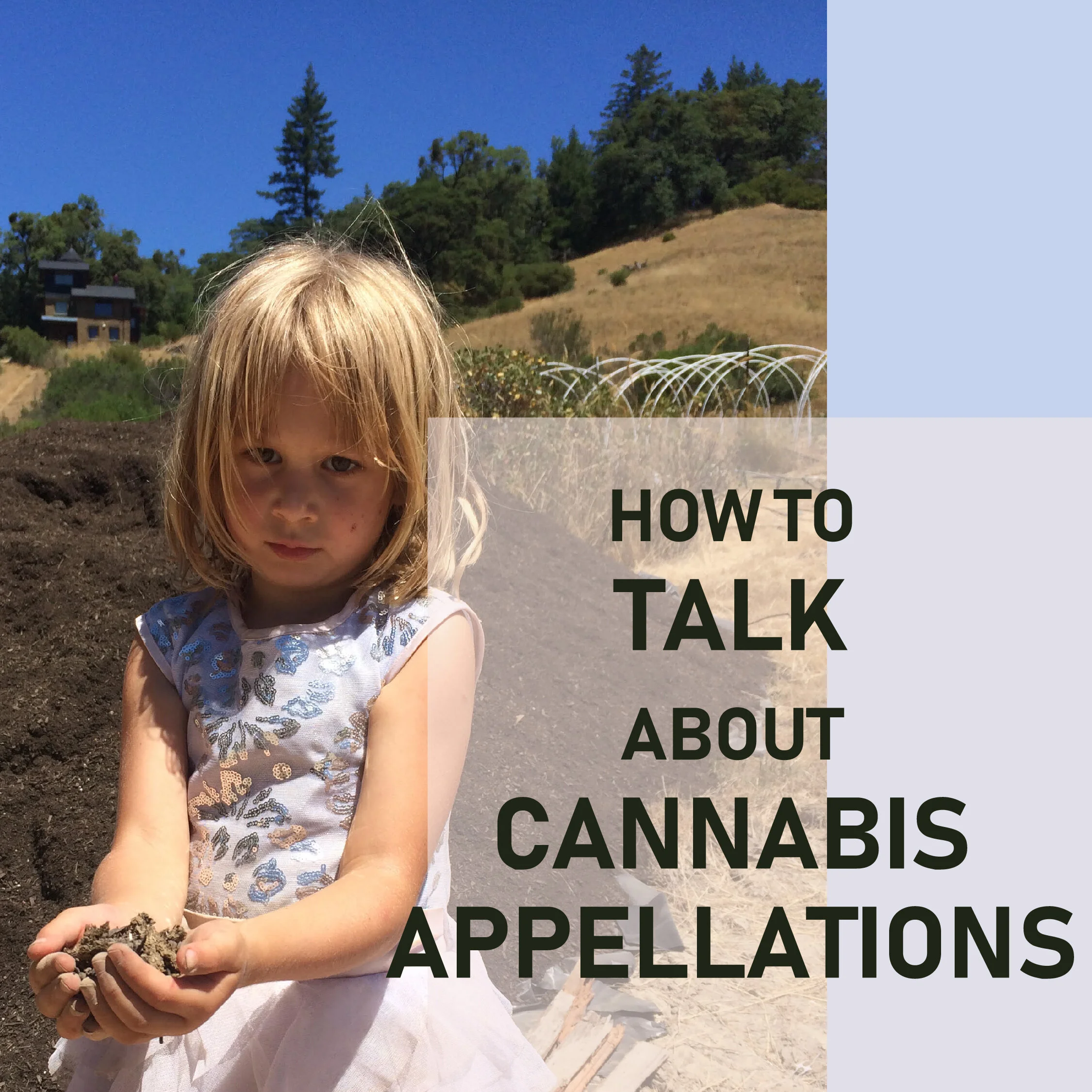 How to Talk about Cannabis Appellations