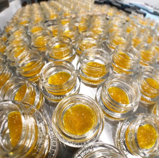 Wox GMO (Garlic-Mushroom-Onion) live resin
