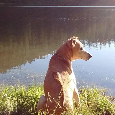hazel2.jpg
