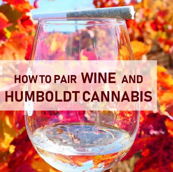 ManifestoSynergiesHowToPairWineAndHumboldtCannabis.jpg