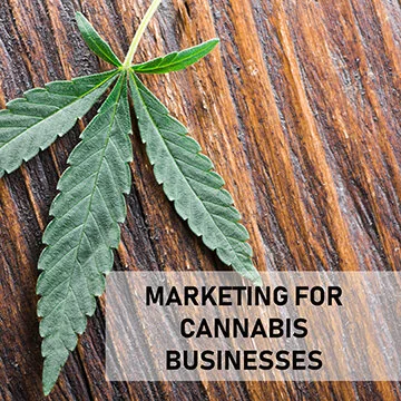 Marketing for cannabis businesses IG.jpg
