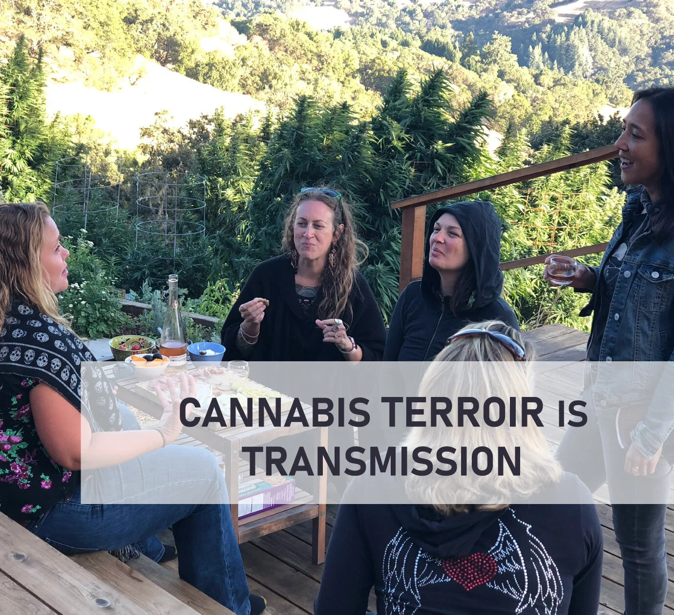 Cannabis Terroir is about Transmission