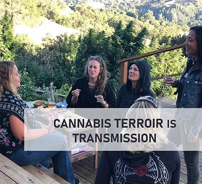0 Terroir Transmission_How to_sm.jpg