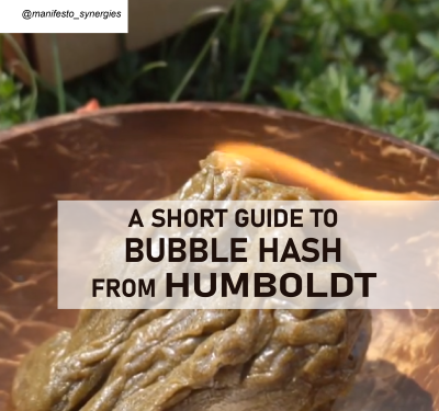 Shortguidetohash-01.png