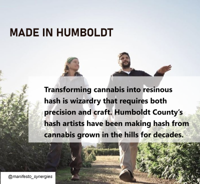Barron Lutz, Nasha Extracts with Sunshine Johnston, Sunboldt Grown, Humboldt County