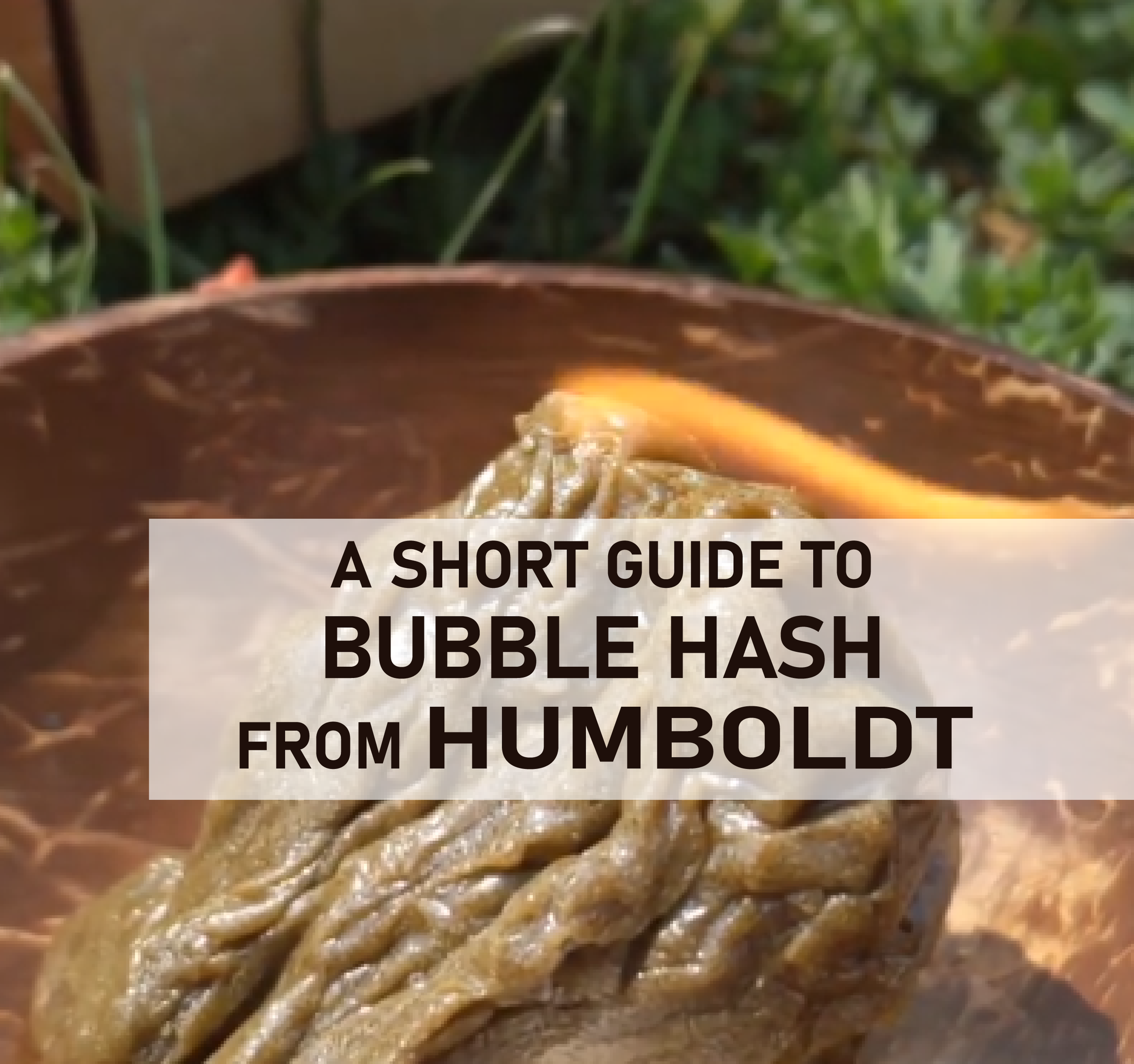 Short guide to bubble hash-01.png