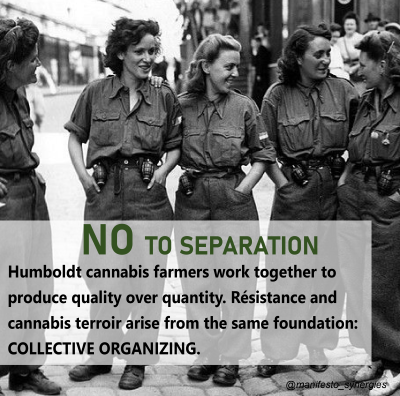 Terroir Resistance-04.png