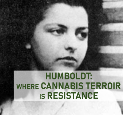 Humboldt: Where Cannabis Terroir Is Resistance