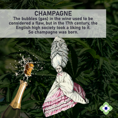 Manifesto_Market_Terroir22.png