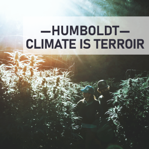TerroirIsClimate-01sm.png