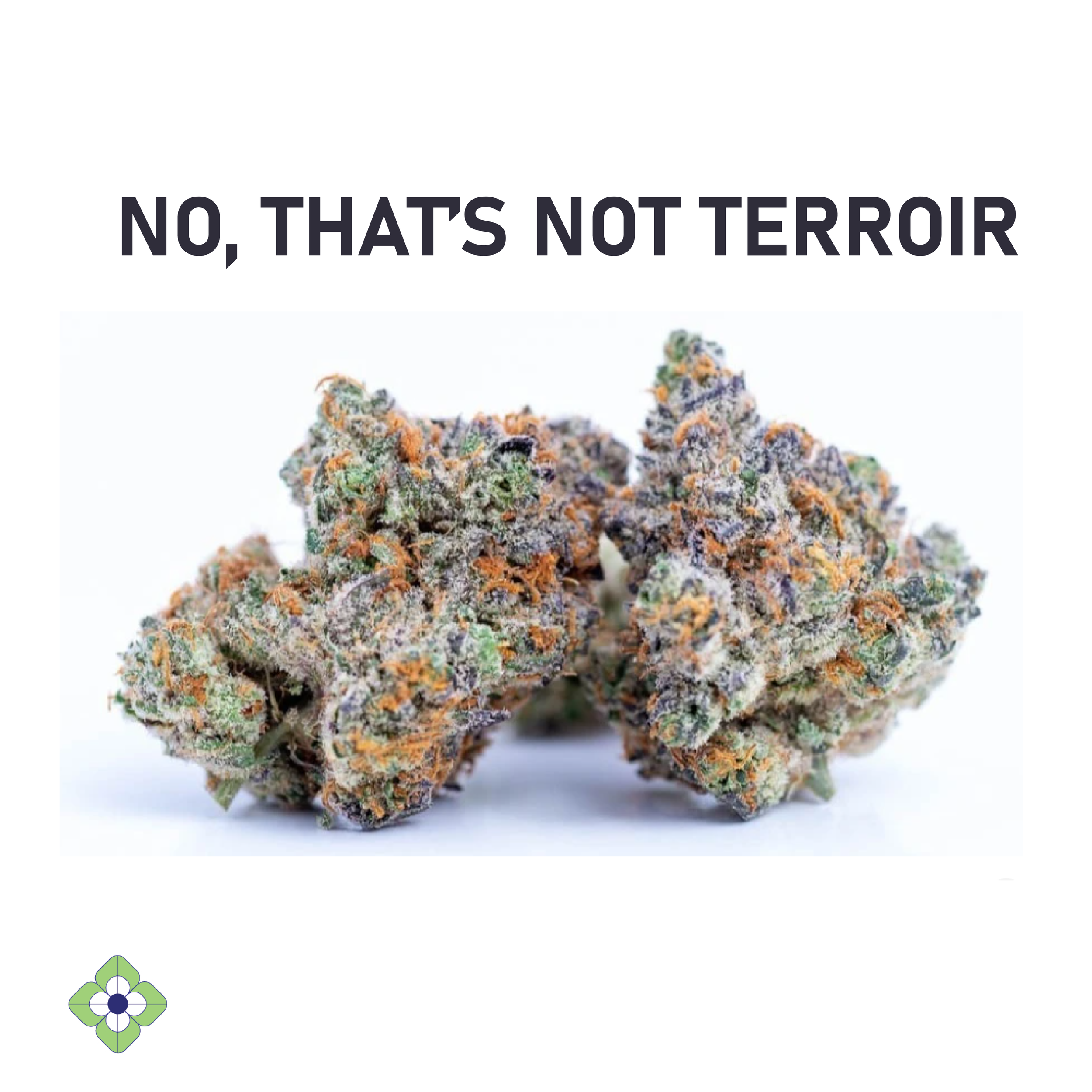No, that's not terroir