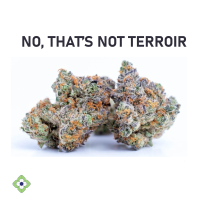 NoTerroir-400.png