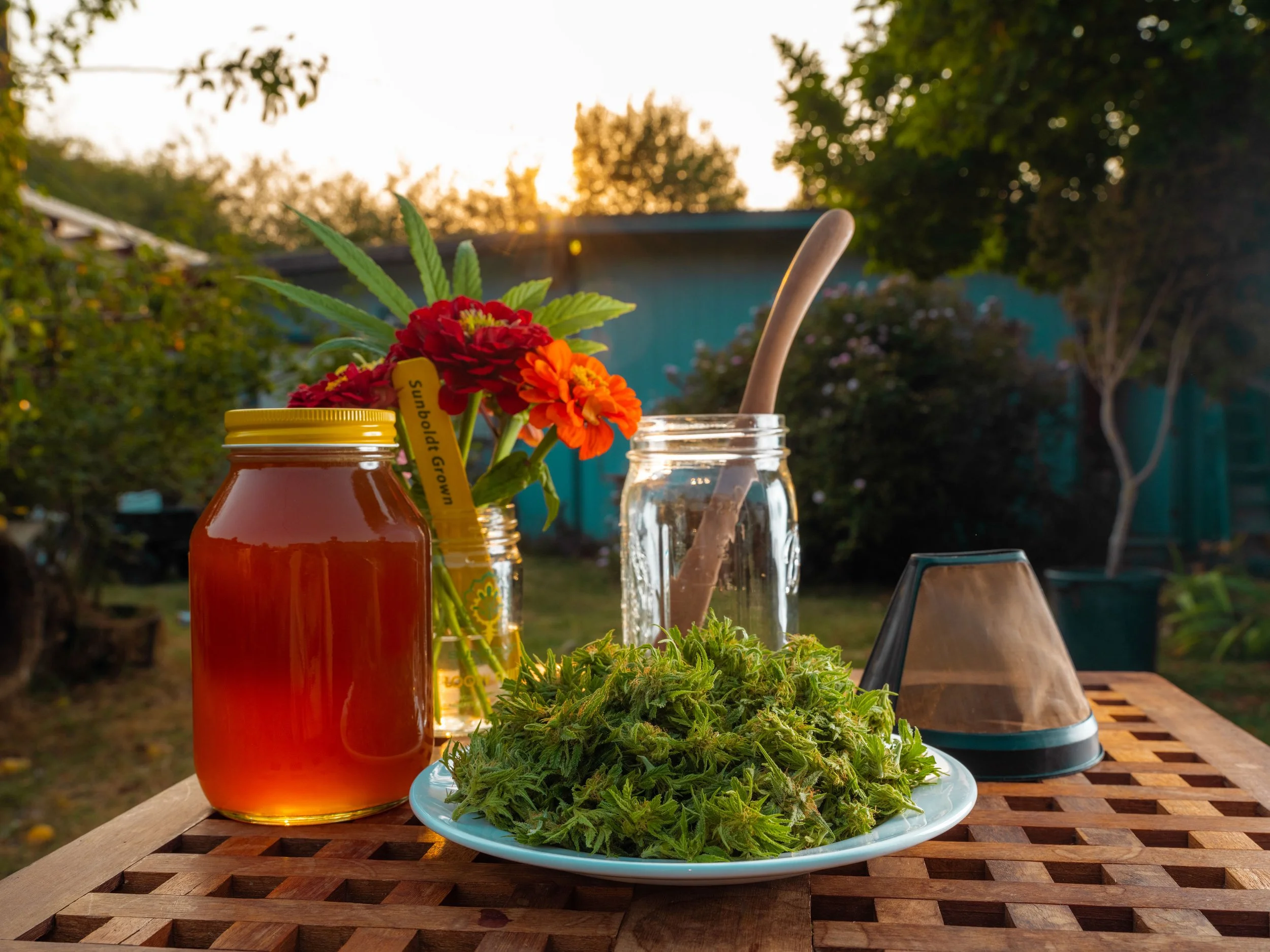 A Raw Cannabis Culinary Delight