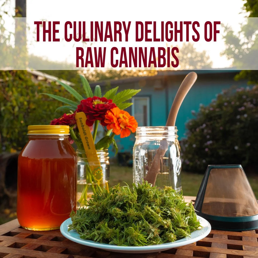 CulinaryDelights.jpg