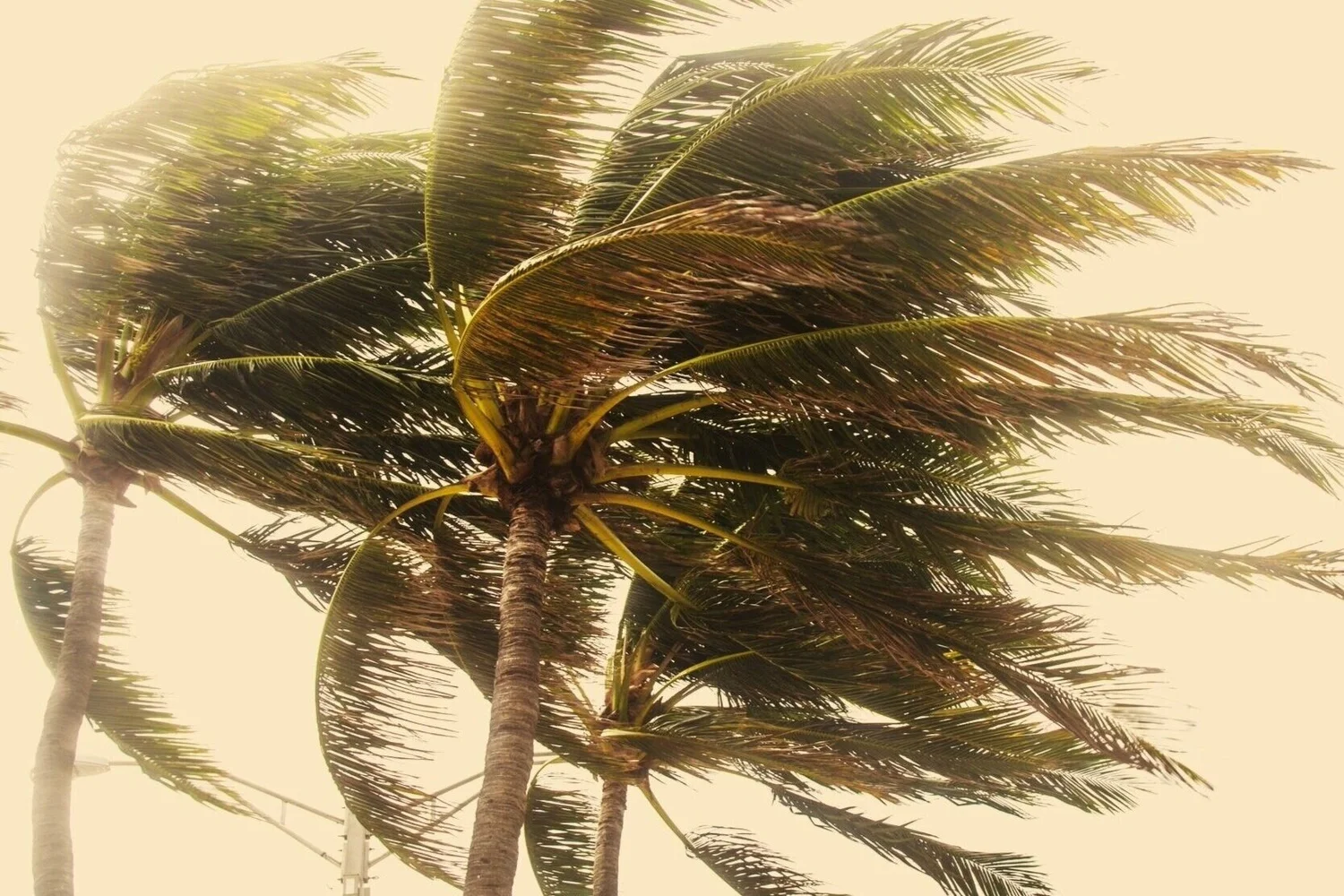 Hazards — USVI HMRP