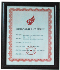 National Torch Program Certificate.png