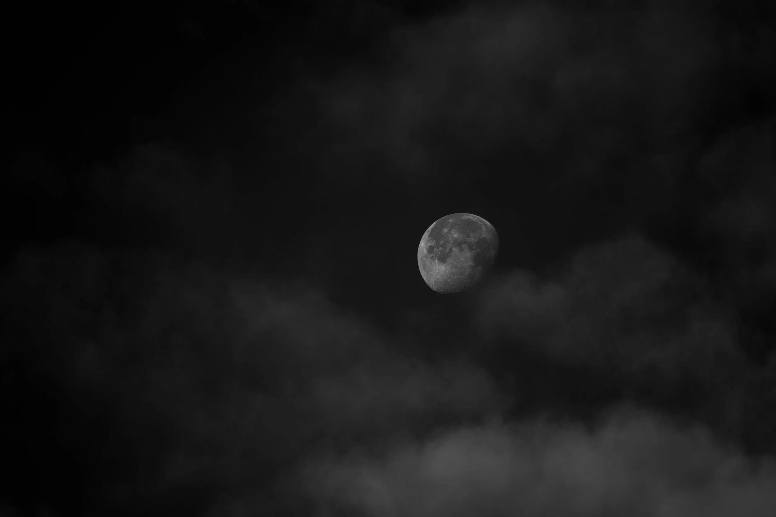 A6504020.jpg