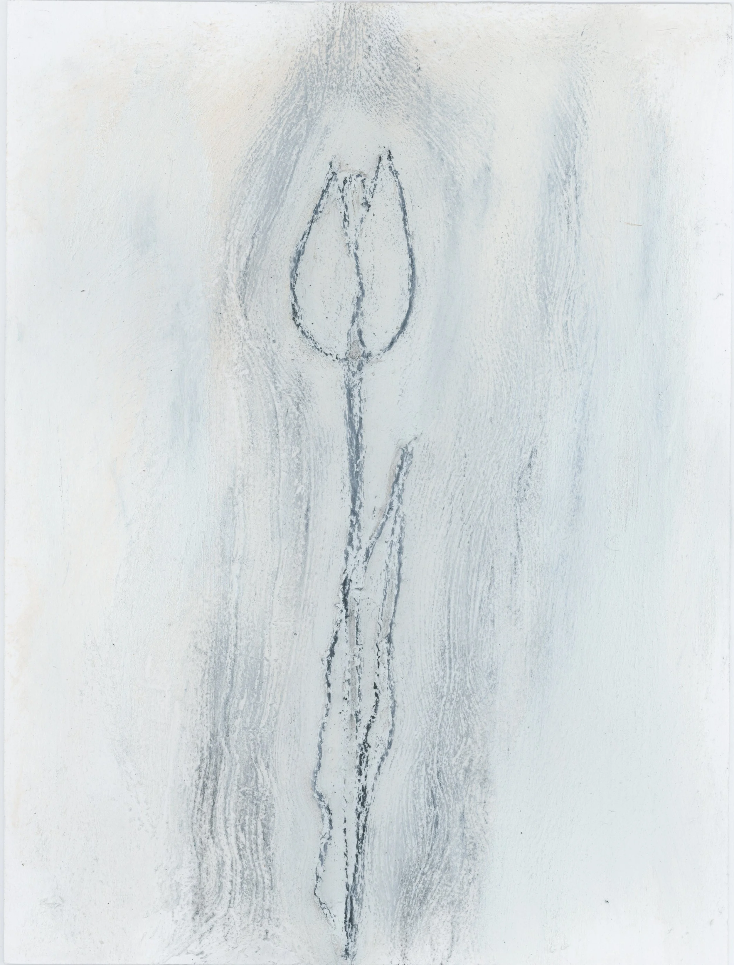 textured tulip.jpg