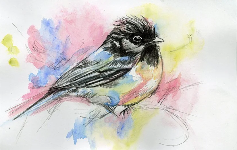 watercolorbird2.jpg