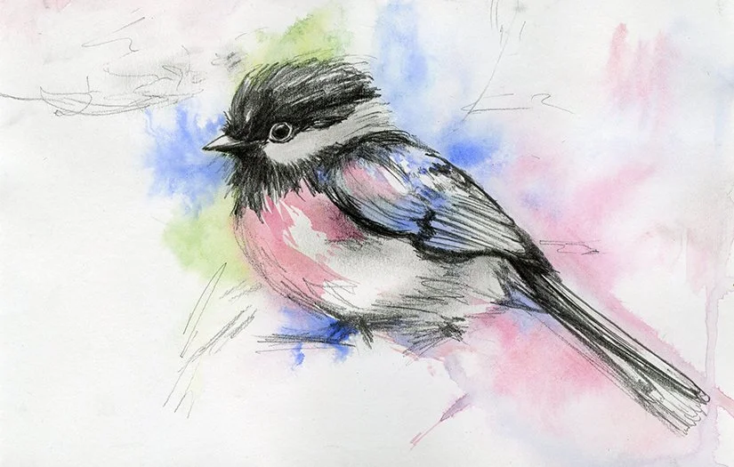 watercolorbird4.jpg