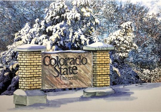 Colorado State University2.png