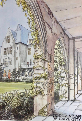 Dominican University2.png