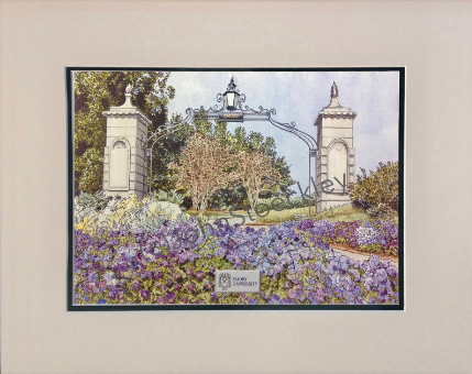 Emory Universitymat.png