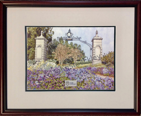 Emory Universityframe2.png