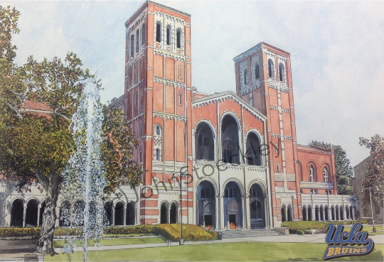 UCLA Bruins2.png