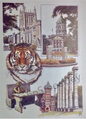 University of Missouri2.png