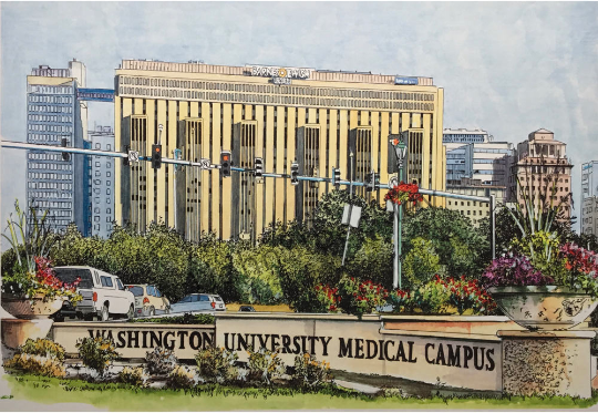 Washington University Medical Campus2.png