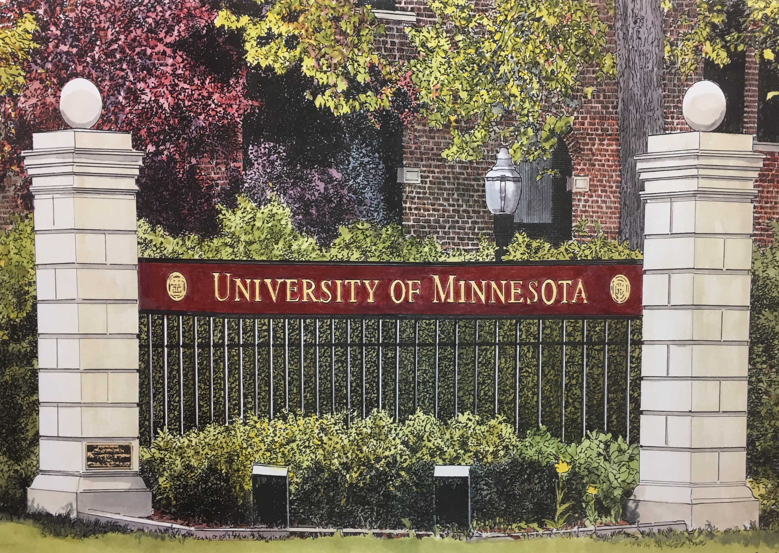 University of MinnesotaRed.png