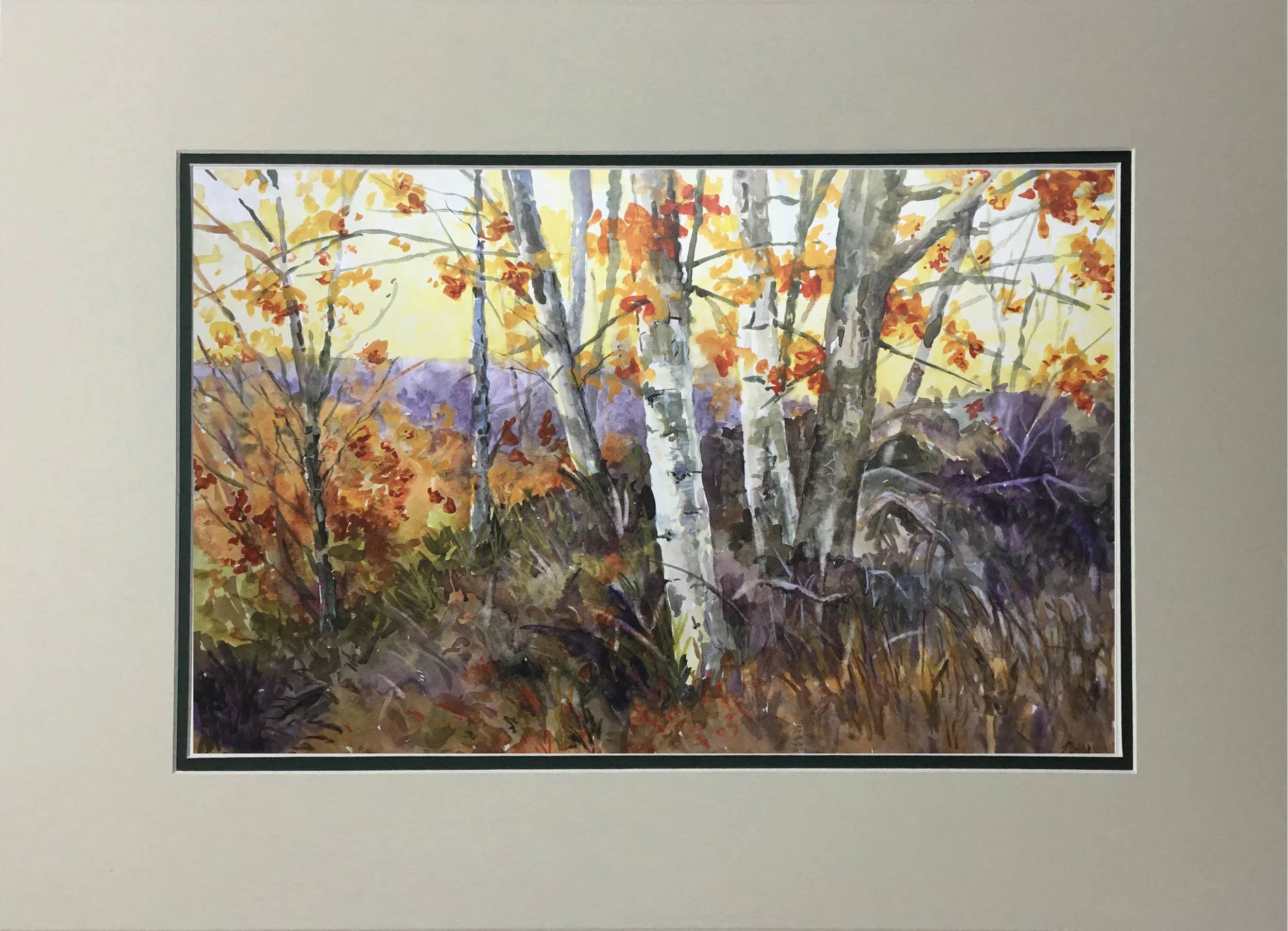 Birch Trees in Fall MATTED.jpg