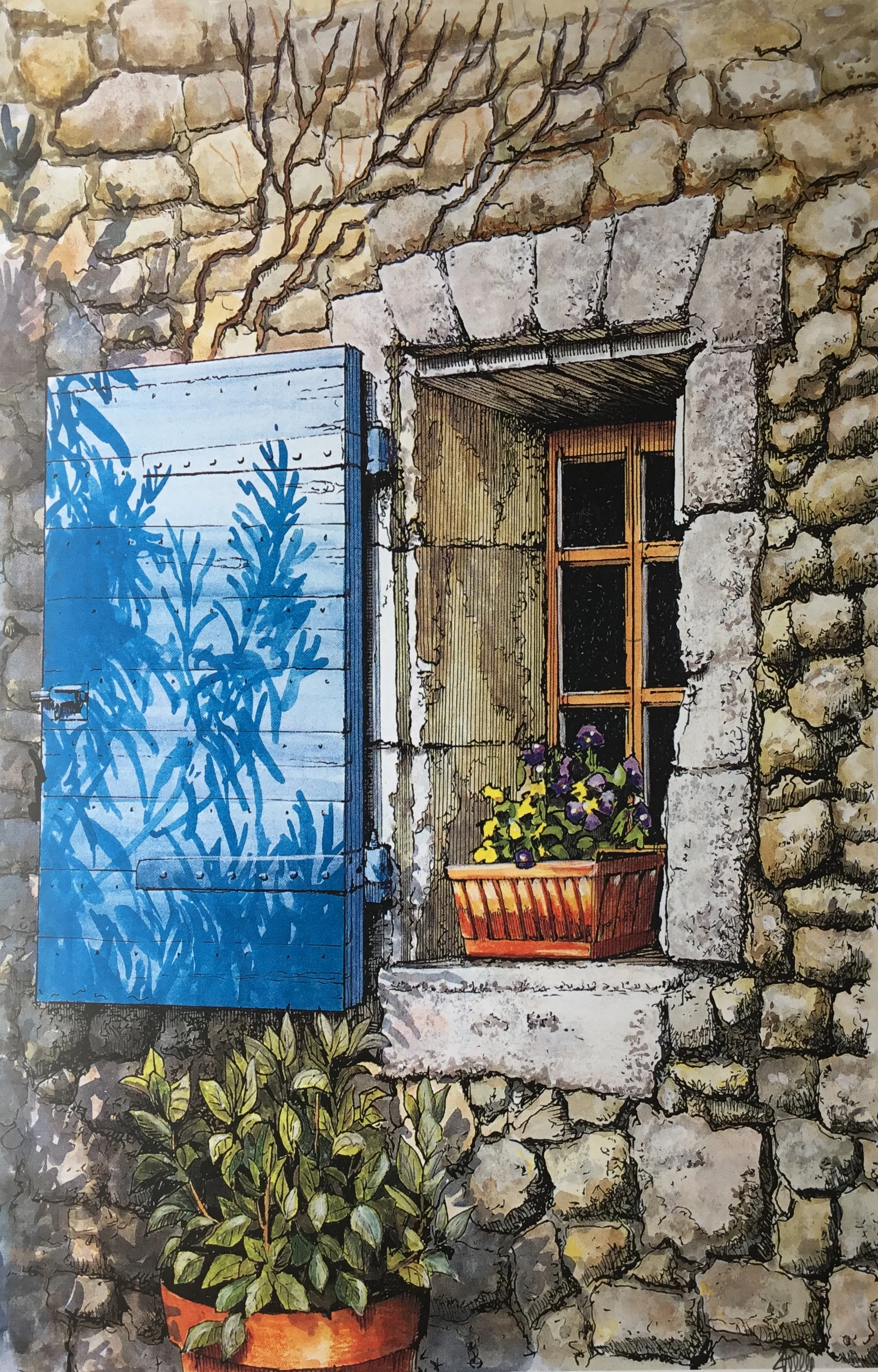 Blue Shutter.jpg