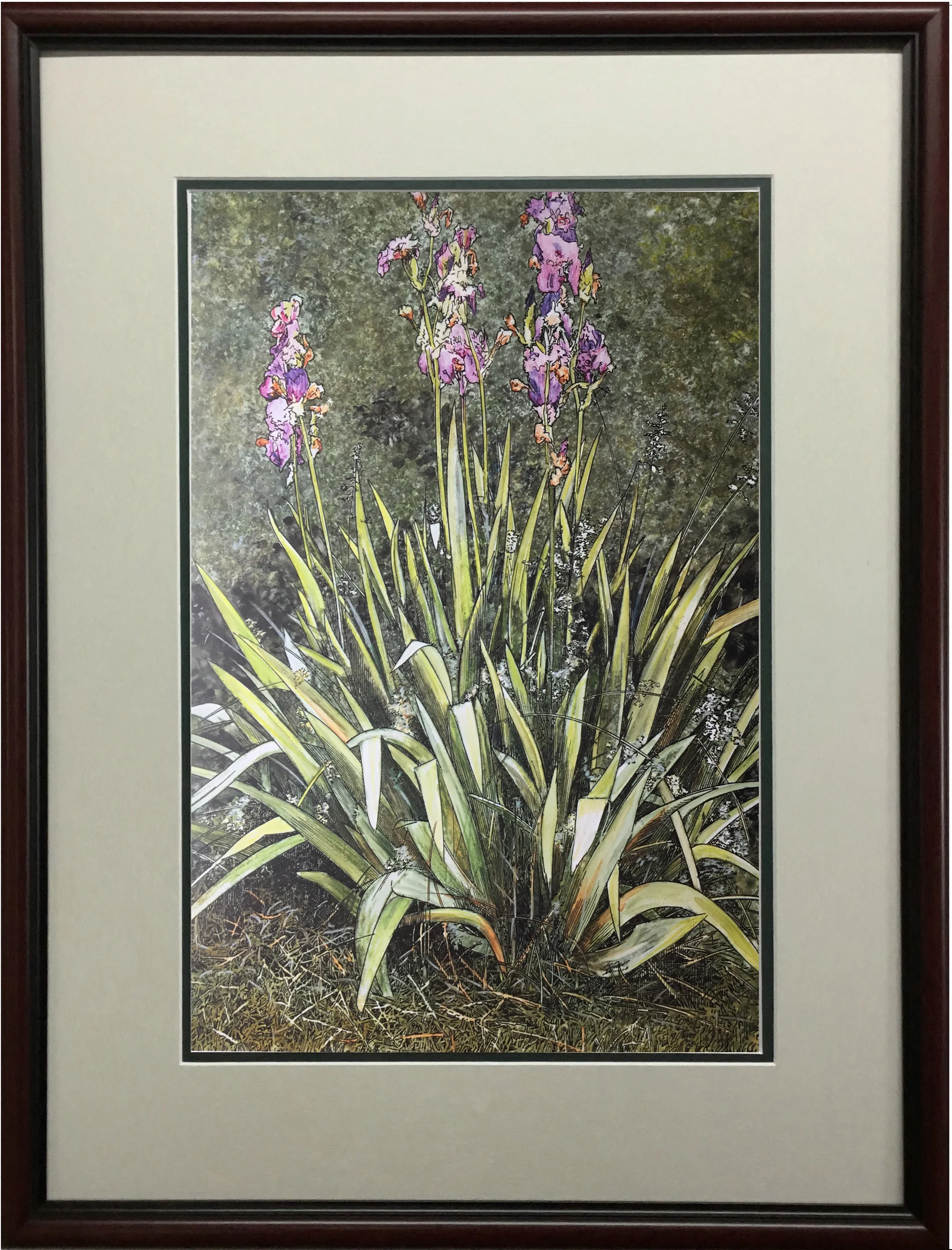 Iris Outback FRAMED.jpg