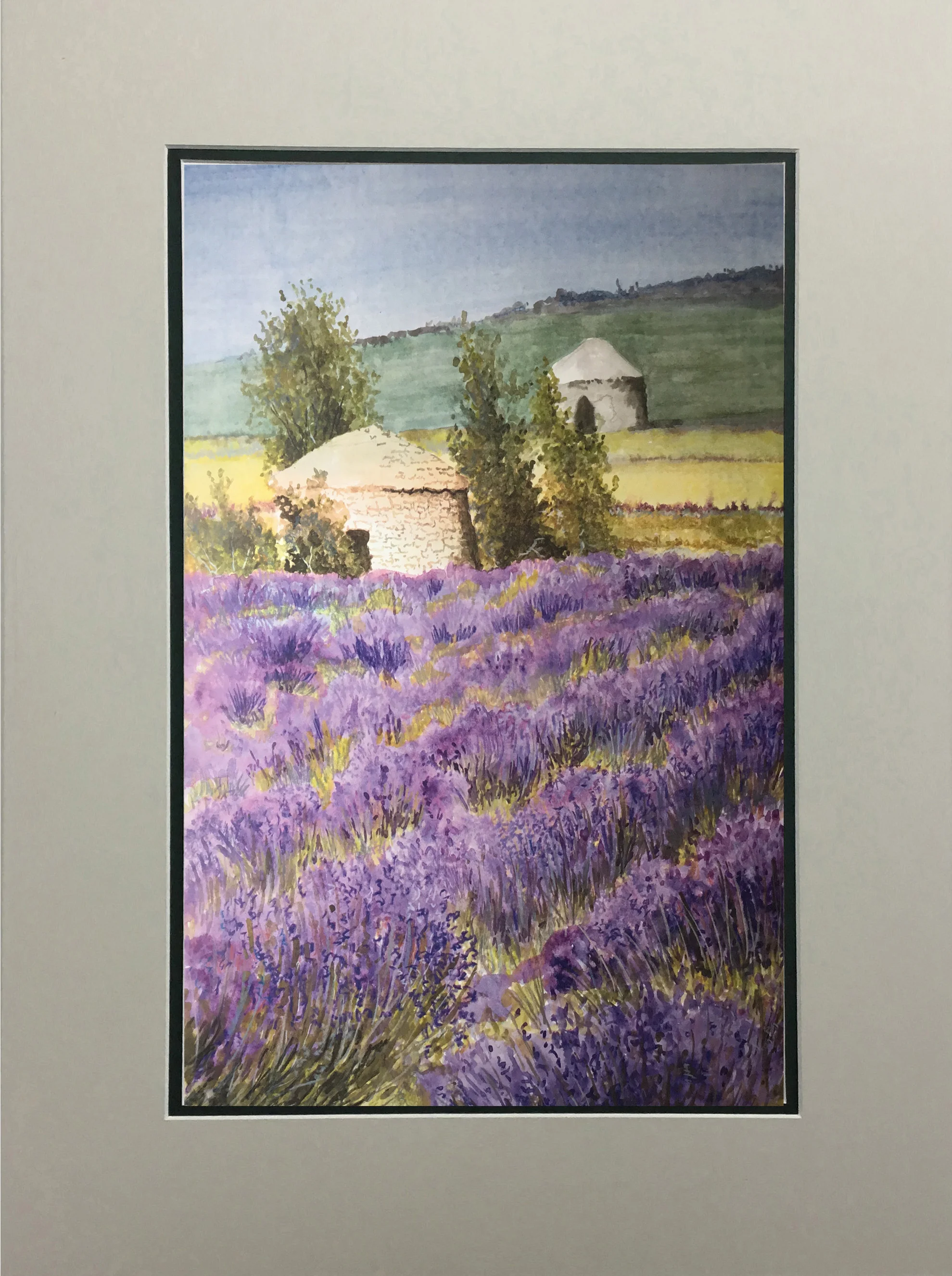 Lavender Before Harvest MATTED.jpg