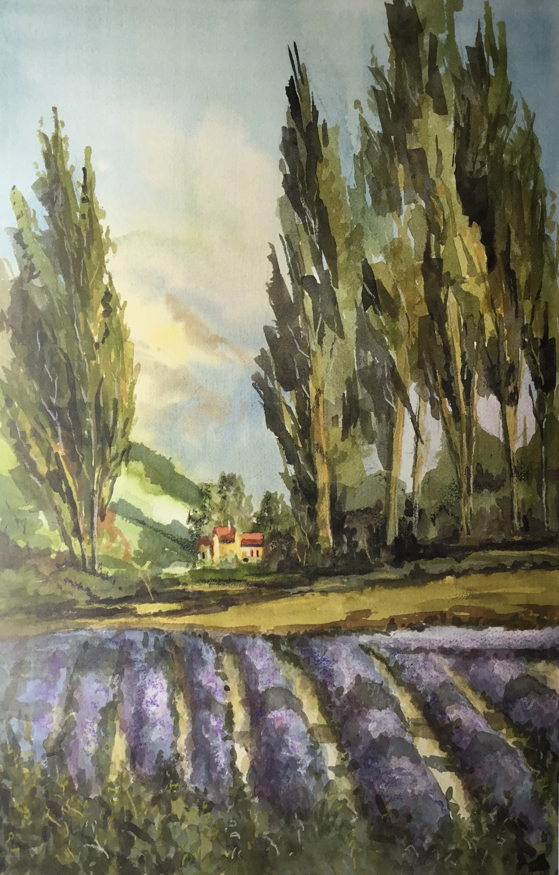 Lavender Country.jpg