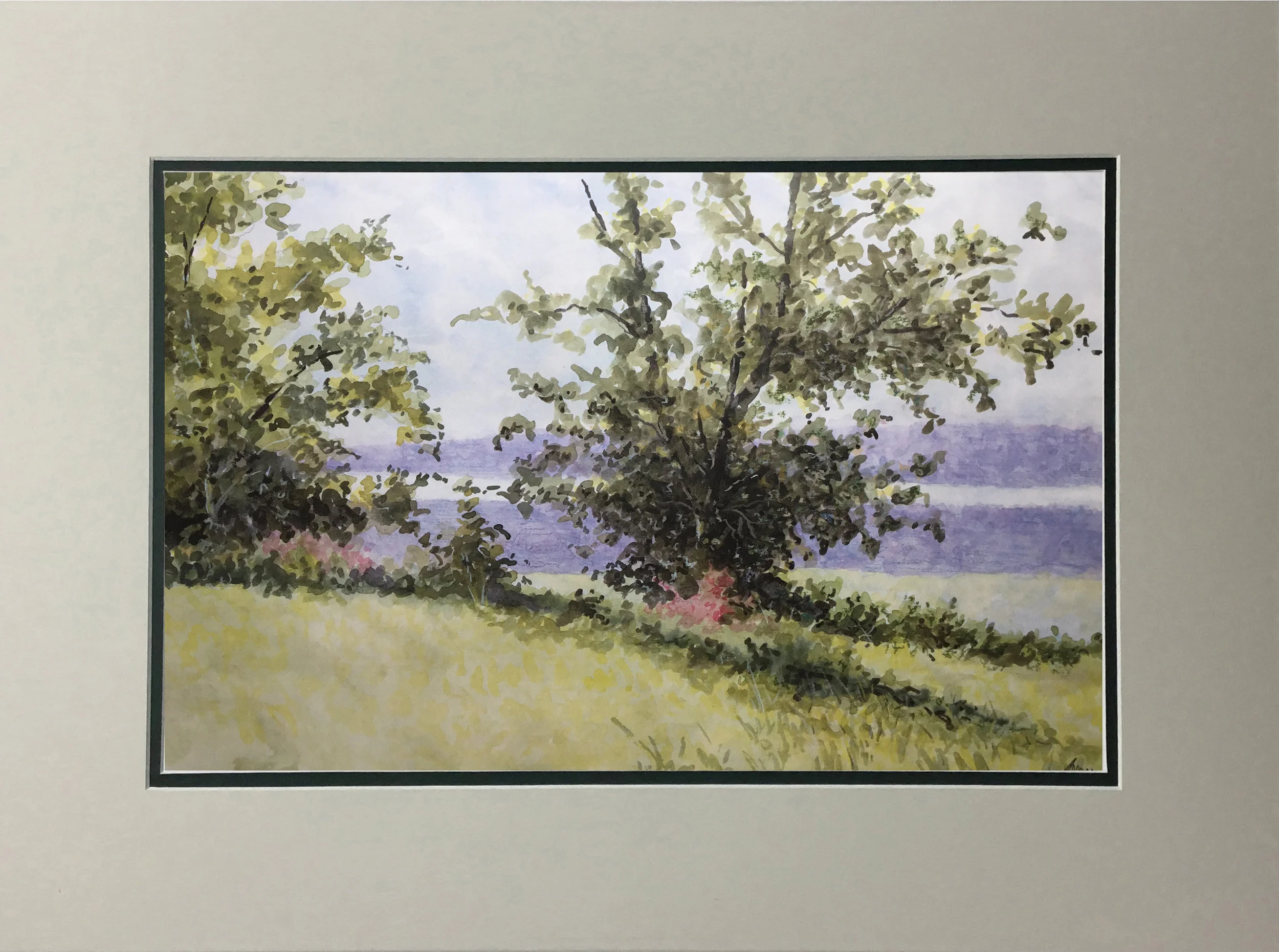 Meadow along the river MATTED.jpg