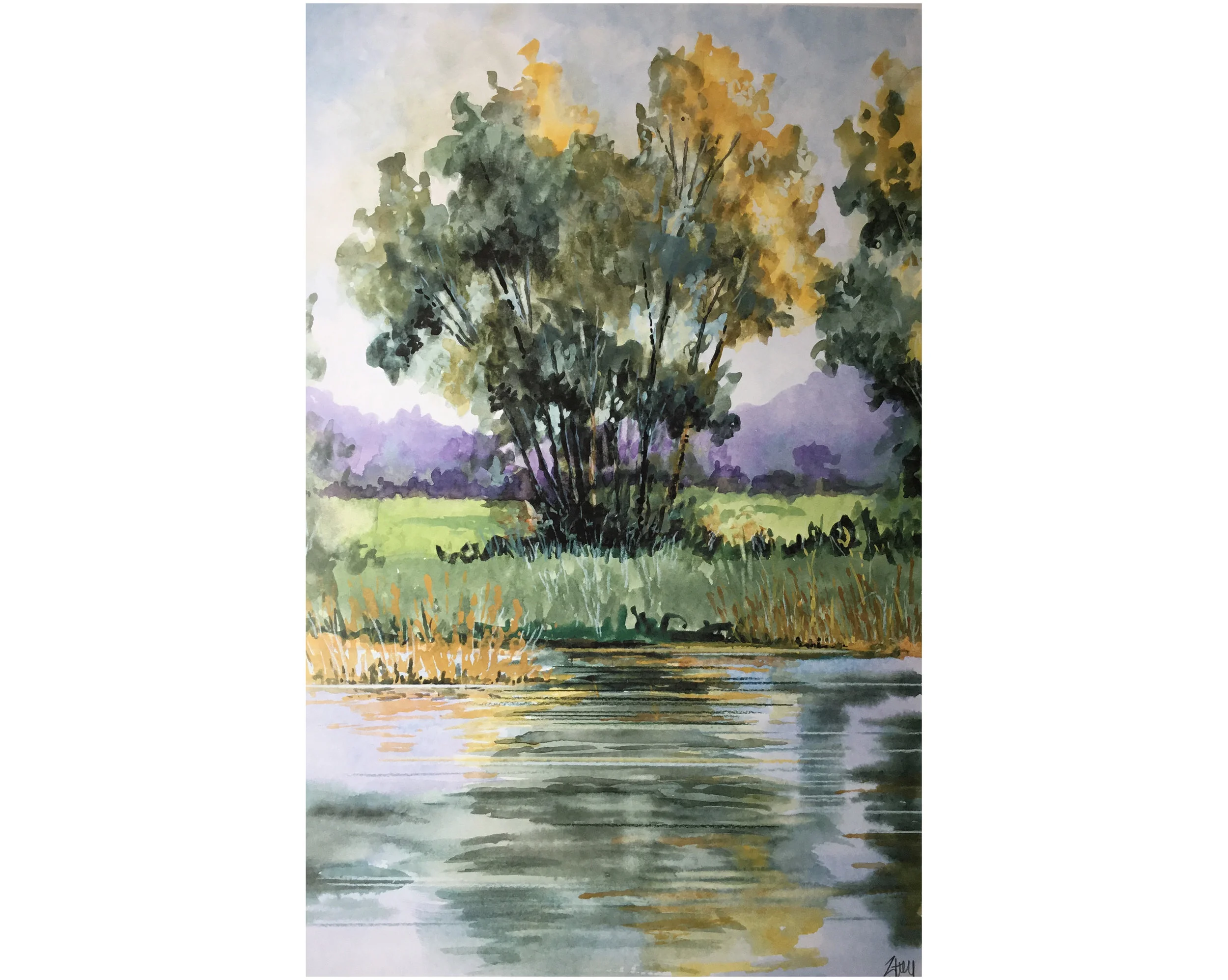 Reflections THUMBNAIL.jpg