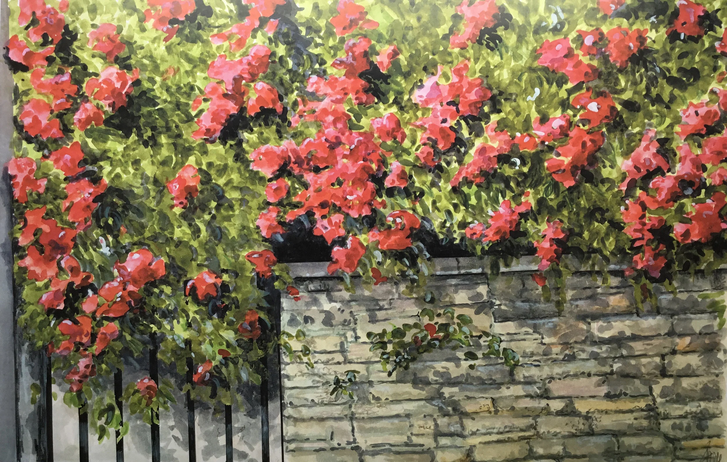 Rose wall.jpg