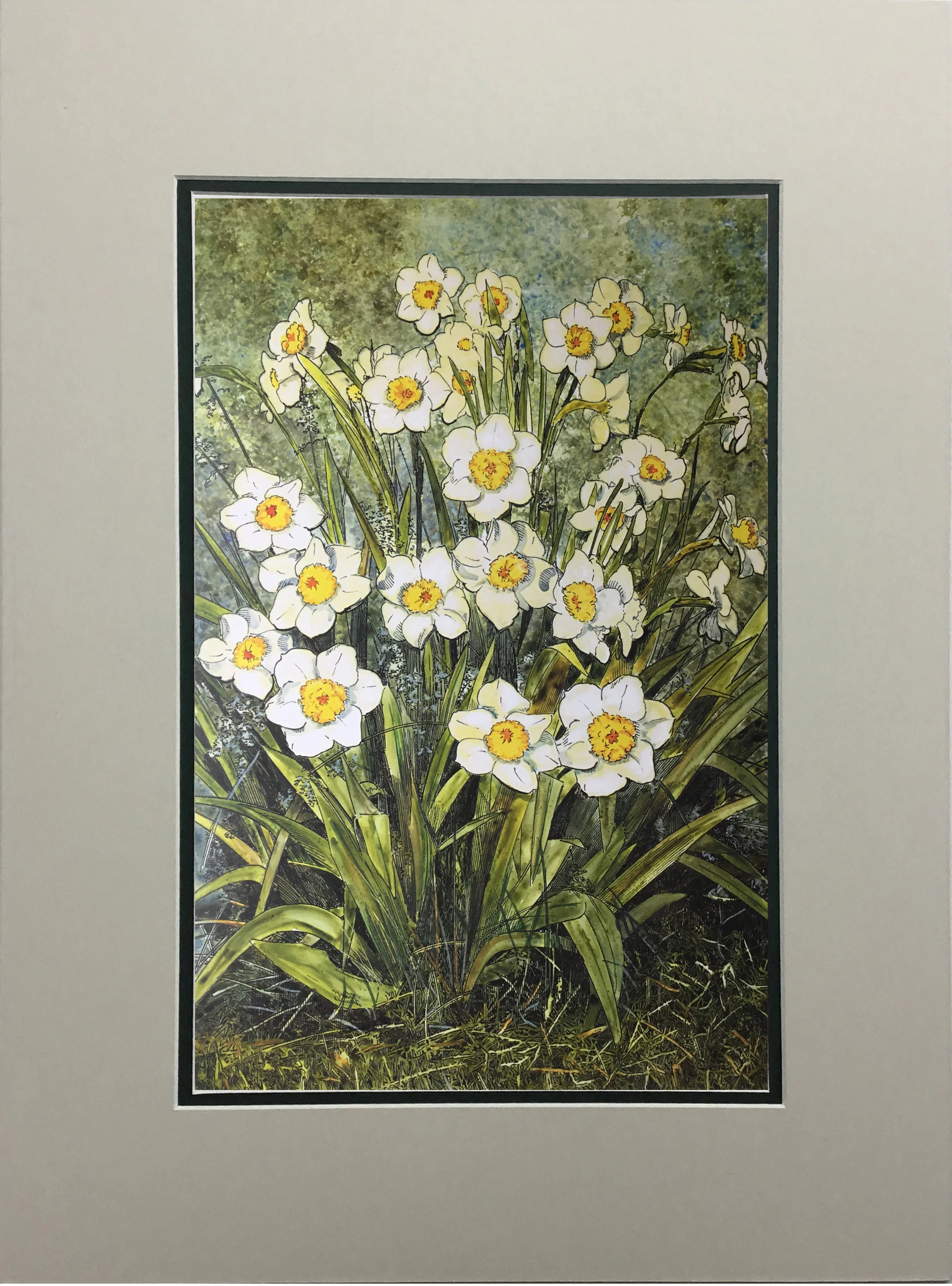 Spring Daffodils MATTED.jpg