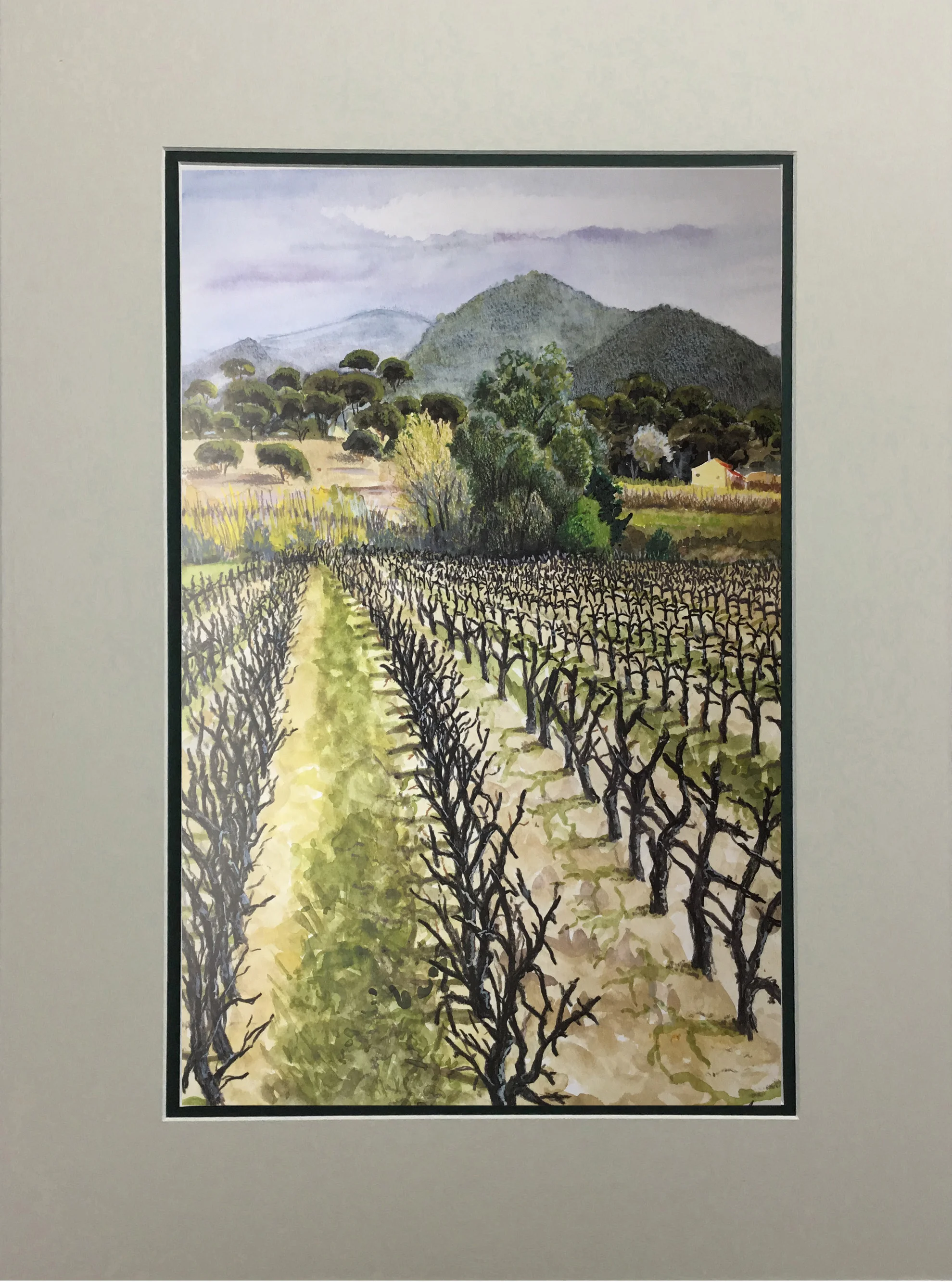 Spring Vines MATTED.jpg
