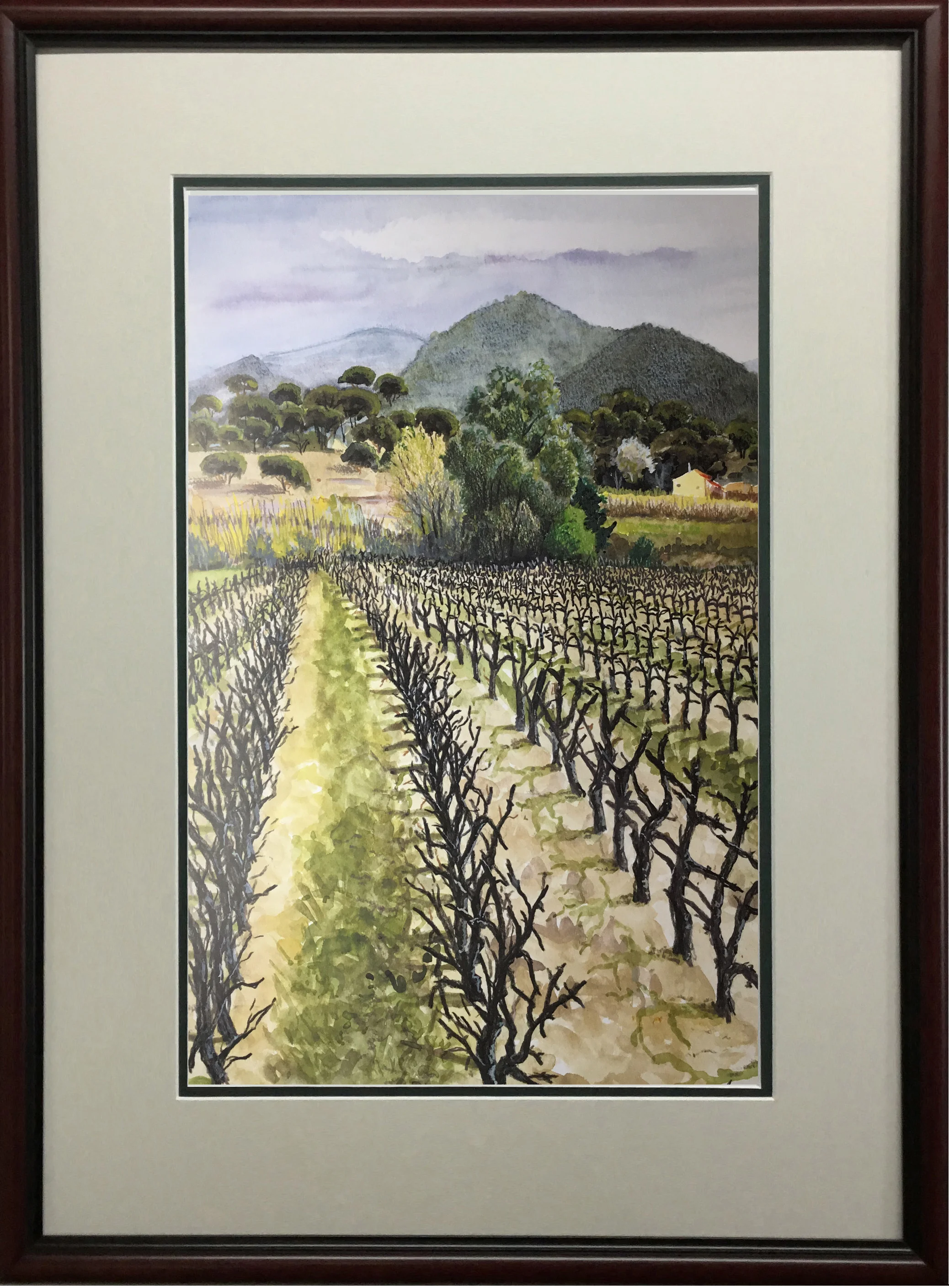 Spring Vines FRAMED.jpg
