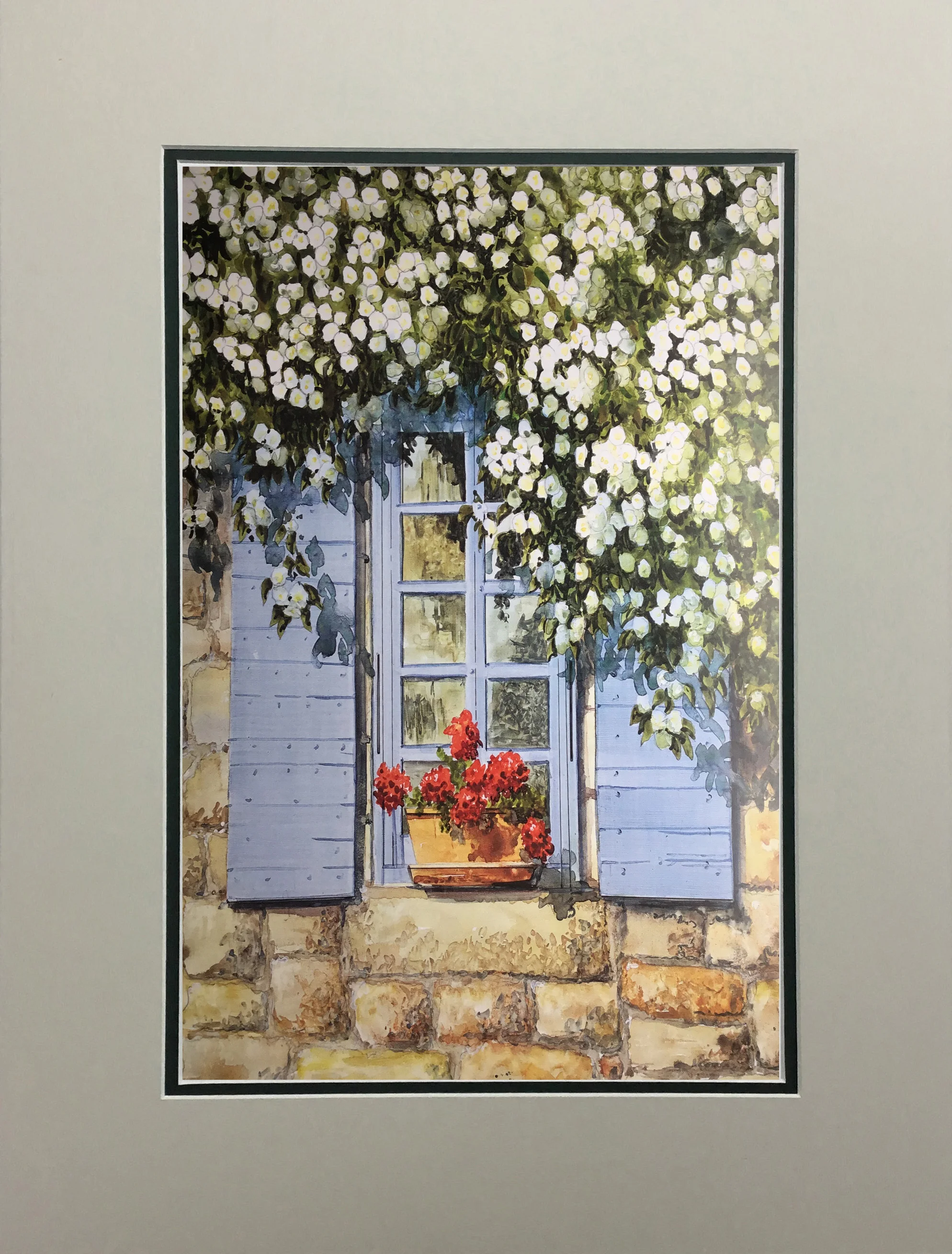White Roses Over Blue Shutters MATTED.jpg