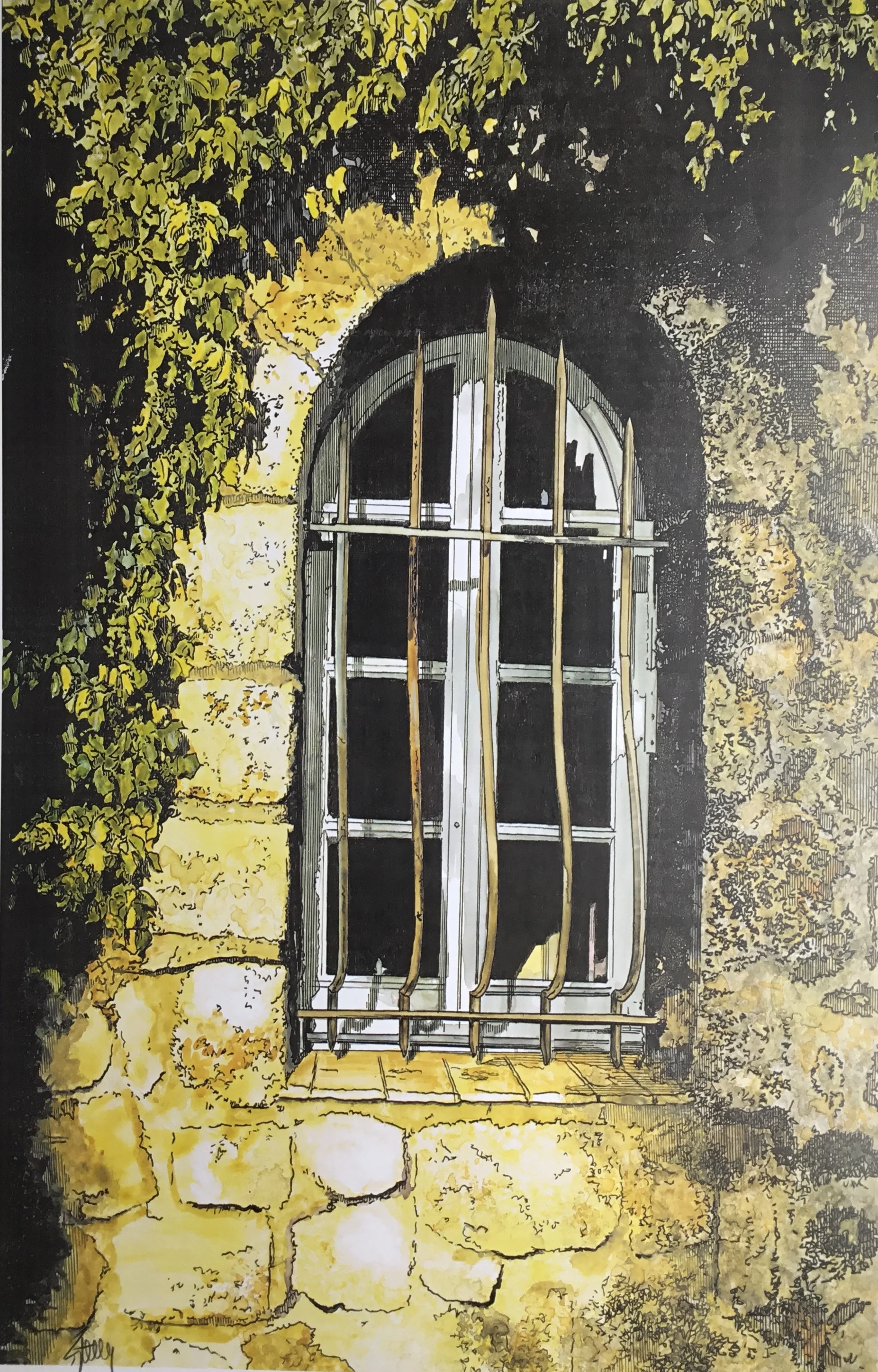 Window on the Back Wall.jpg
