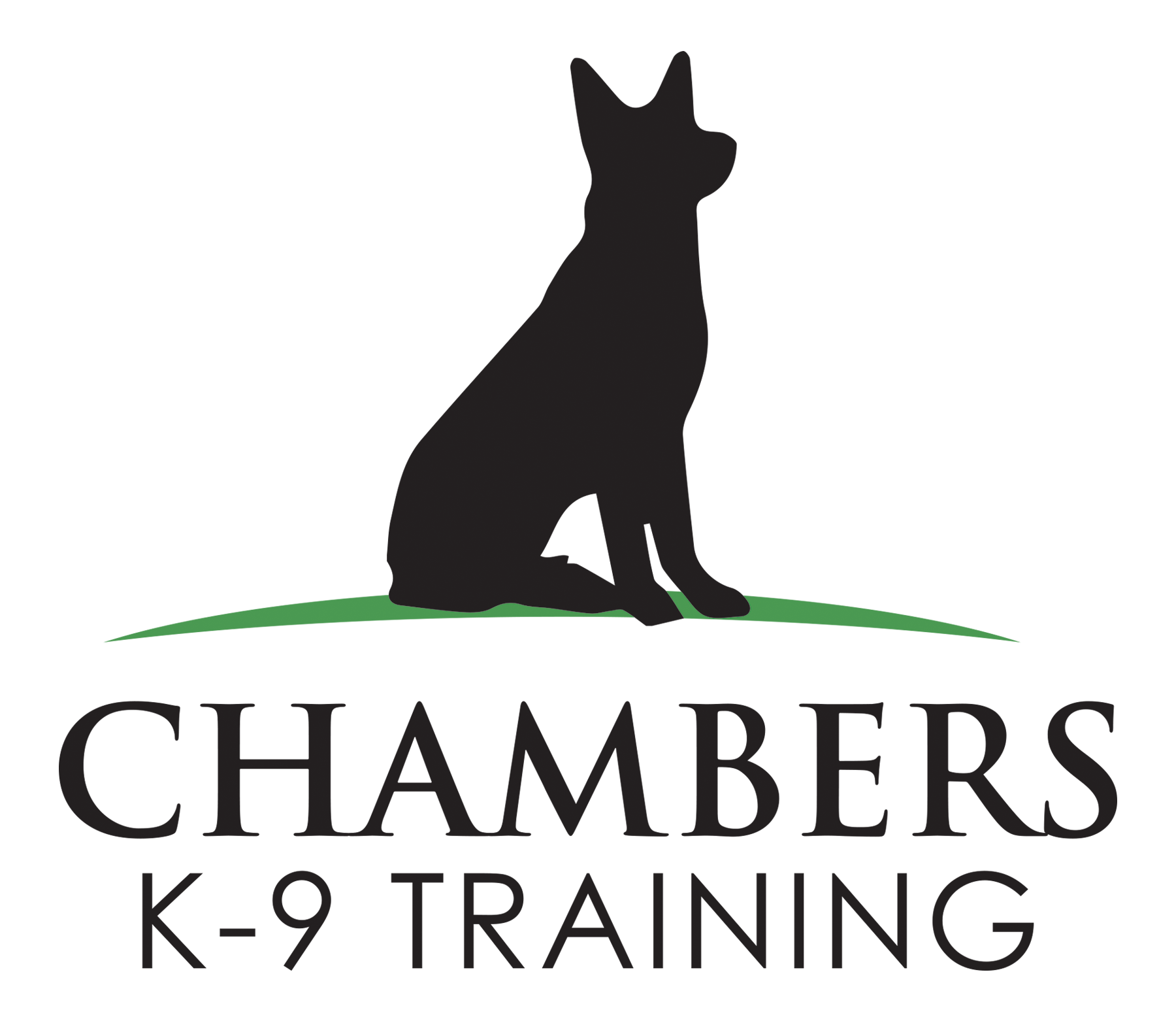 Chambers K9 Training