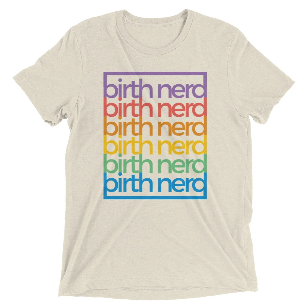 birth-nerd_Dear-Little-One-2018-IG-icon_mockup_Front_Flat_Oatmeal-Triblend.jpg