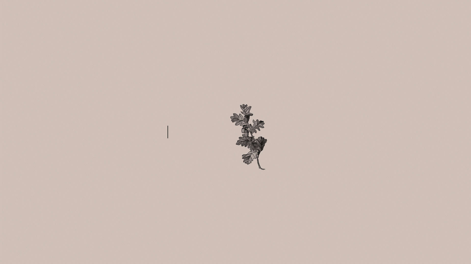 Wild Oak Birth.gif