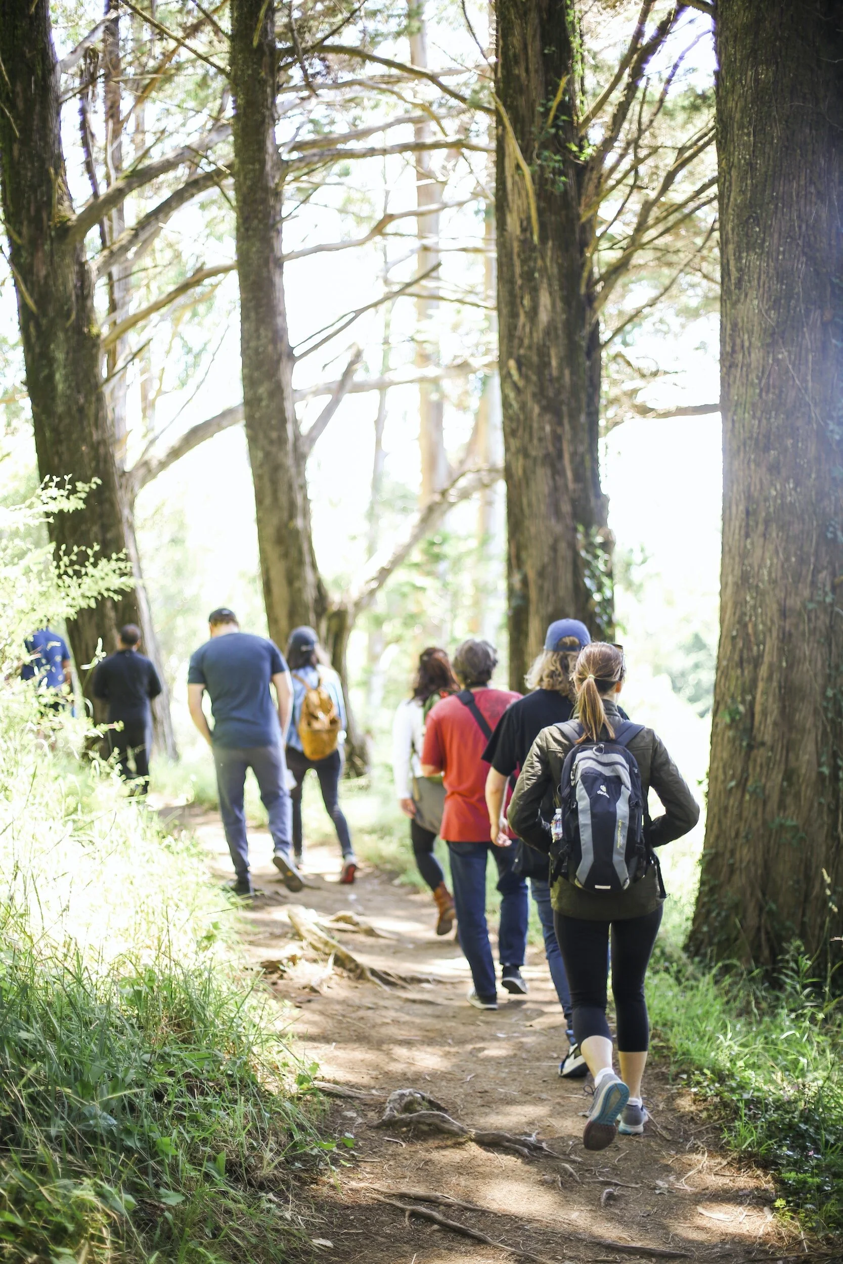 HiHo Hike + Learn: Adventures in Nature 9/14
