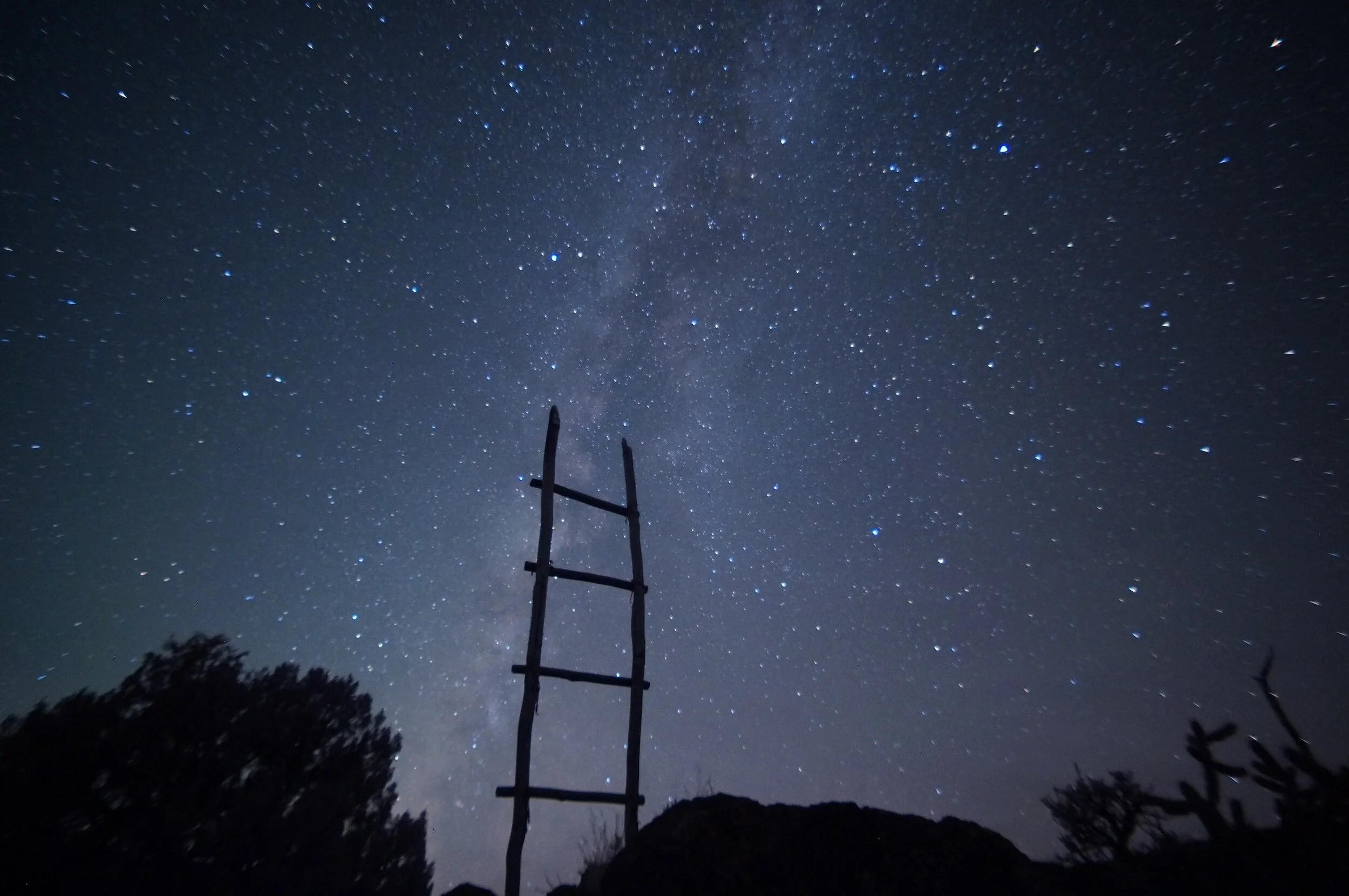 Parashah (Torah) Study + Discussion: Jacob's Ladder